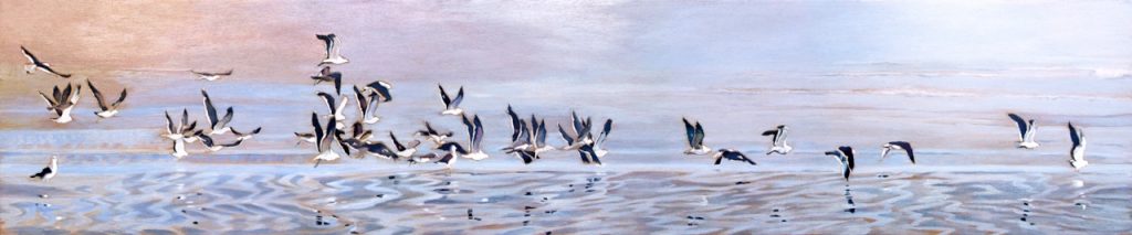 Flying with a new day